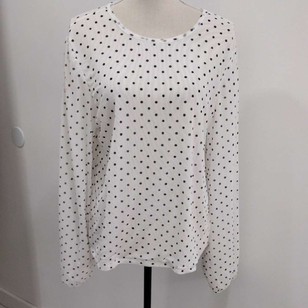 Polka Dot Mesh Blouse 12